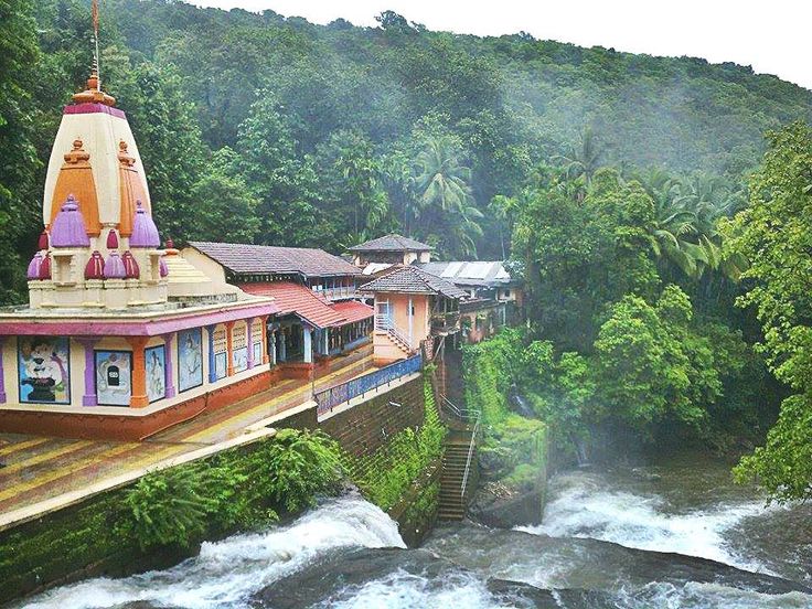 🪶 Orissa Tribal Tour Tour Package